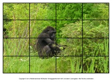 Puzzle-Gorilla-2.pdf